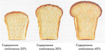 Содержание клейковины (пшеничного глютена) в хлебе